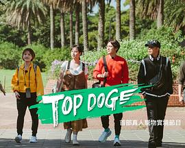 糖心vlog官网观看《TOP DOG》免费在线观看