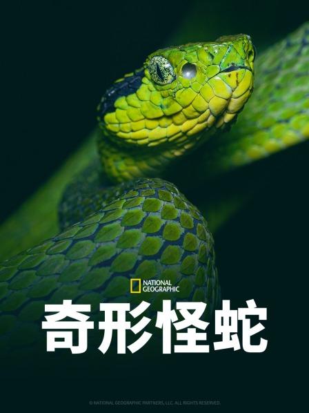 糖心Vlog精品一区二区《奇形怪蛇》免费在线观看